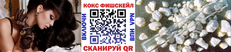 Кокаин FishScale  закладки  Будённовск 