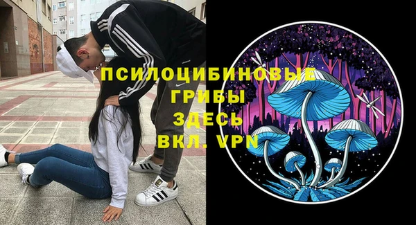 бутират Ельня