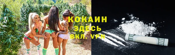 ALPHA PVP Баксан