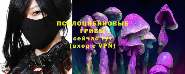 дмт Елабуга
